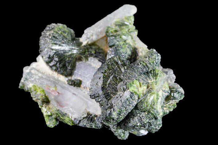 Lustrous Epidote with Quartz Crystals - Morocco #161127